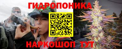 jwh Будённовск