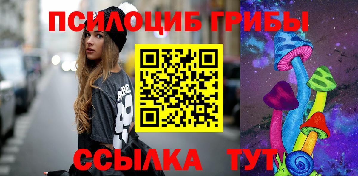 Галлюциногенные грибы Psilocybe Мурманск
